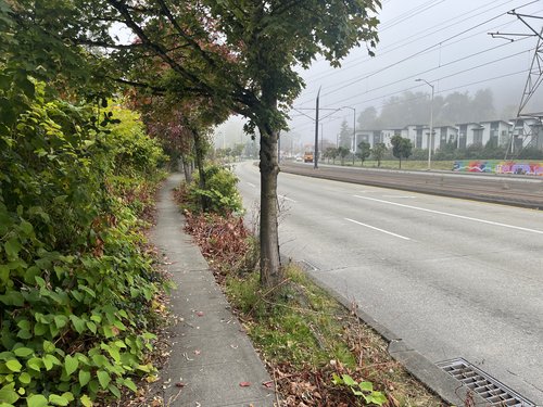 overgrownMlkWaySidewalk