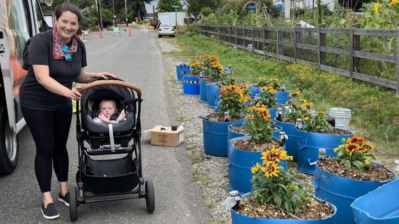 NE Greenwood Homezone - blue barrel planter traffic calming project.